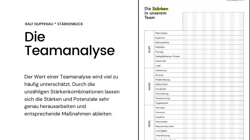 Die Teamanalyse - warum diese Informationen so wichtig für dich als Tamleiter sind.