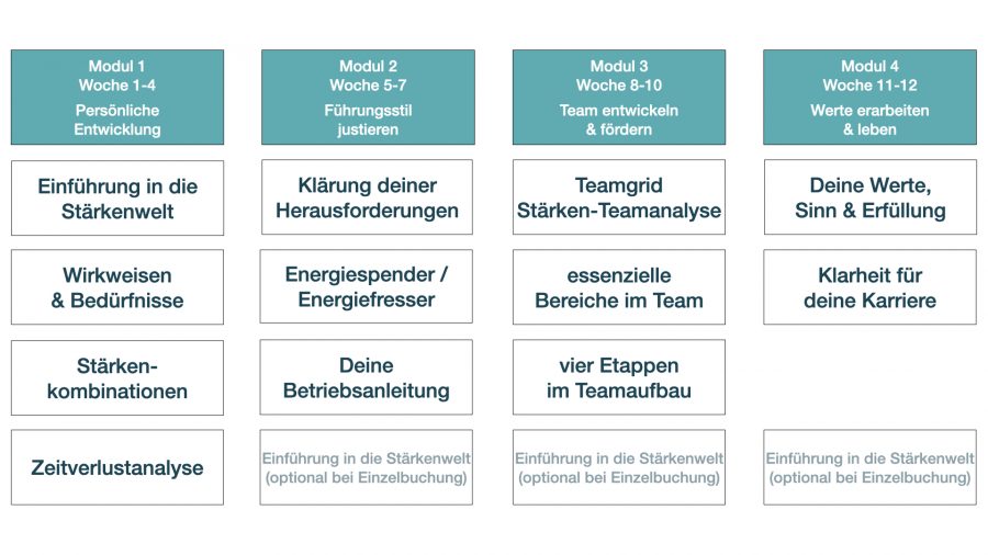 Mentoring - Ein Überblick der Inhalte der einzelnen Module